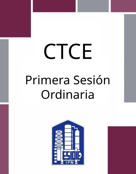 Síntesis de la Primera Sesión Ordinaria del CTCE