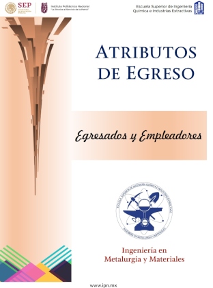 Encuesta sobre Ingeniería en Metalurgia y Materiales