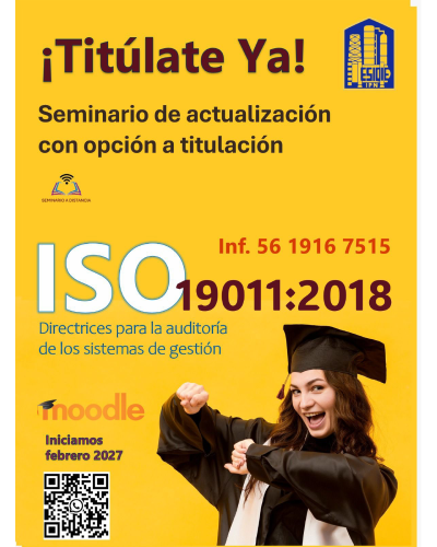 Seminario directrices de auditoría